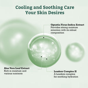 Leaders Aloe Soothing Skin Renewal Mask
